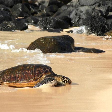 Kaleialoha 309 Villa Kahana Ngoại thất bức ảnh